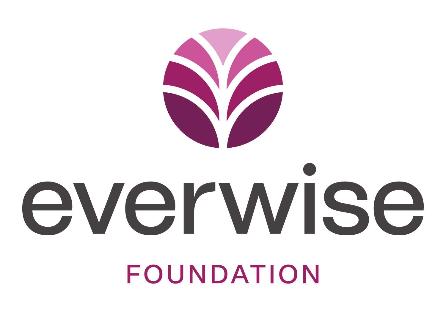 Everwise logo (opens in new window)